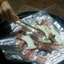 큐리애견 이미지