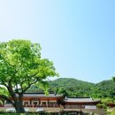 심청한옥마을 이미지