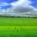 쉼이있는풍경 이미지