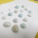 강아지의 품격 이미지