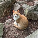 도봉산 티스토리