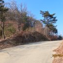 곰재농장 이미지