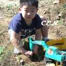 생화당 Daum카페