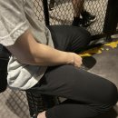 동산남성 | 놀이동산 의자 줄서는 시간도 편하게: 휴대용 접이식 자바라 아코디언 의자 롯데월드 사용 후기