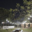 카페캐빈하우스 이미지