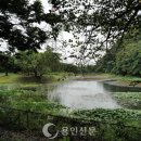 시미2리 이미지