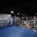 백프로 복싱체육관 이미지