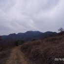 세청농장 티스토리