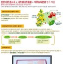 오늘만 이가격...화장품 특수보관함,뷰티벨(피부예민하신분,화장잘안받는분)얼굴이 뽀샤시 해져요+덤으로 유기농 감마리놀렌산 이미지