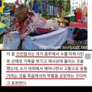 건진법사와 살아있는 소의 가죽을 벗기는 굿 이미지