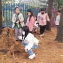 고림초등학교 이미지