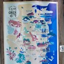 천리미항식당 | 영덕 축산항 현지인 맛집 천리미항식당 물가자미 정식 후기