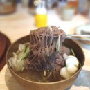 사리원면옥 | 대전 둔산동 맛집 사리원면옥 냉면