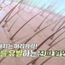 위대한식탁 이미지