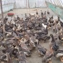 안덕민속한의원 이미지