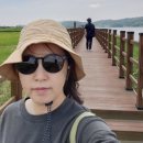 서천, 장항스카이워크, 신성리 갈대밭, 서해 일몰