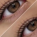 누누브로우 네이버블로그