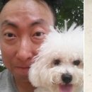 털뭉치 이미지