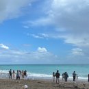 남부 공중화장실 | [이탈리아 여행] 로마 2일차 : 남부 투어(폼페이, 소렌토 전망대, 아말피 코스트, 포지타노)