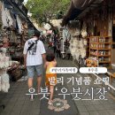 미소드림약국 | 발리 기념품 쇼핑 발리앤드림 엘립스오일, 우붓시장 흥정 꿀팁