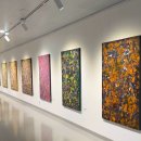 자연이 하는 말을 받아쓰다 | 담낭절제술 후기(로봇수술) 기흉 폐쐐기절제술과 자연분만과 통증 비교 2편