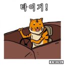 굴다리산곰장어