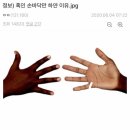 흑인이 손바닥만 하얀 이유 이미지