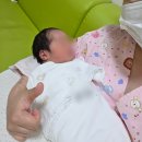 한빛약국 - 강북구 도봉로 52 | 한빛여성병원 역아 제왕절개 출산 및 1인실 사용 후기