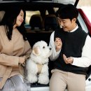 세이브 동물병원 이미지