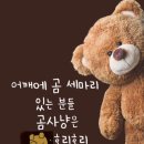 호리호리힐링다이어트