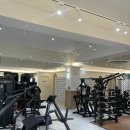 [강력추천] 화정 헬스장 &#39;뉴라이프짐&#39; 후기!/카다시안 엉덩이 만들기 프로젝트