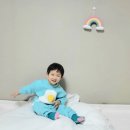 애플버터컬리지 계란후라이 세트 XS 상하복 착용후기 / 예쁘고 편한 22개월 아이옷