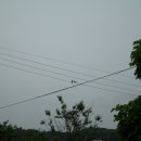 소곤소곤 이미지