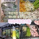 미숙이랑 꼬기랑 이미지