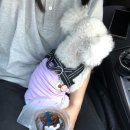 남목초교 이미지