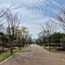 부산시민공원 문화예술촌 Daum카페