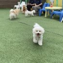 봉봉이 놀이터 이미지