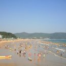 명사십리해수욕장 환경법률신문