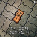 실바람 이미지
