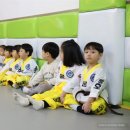 용호태권도 이미지