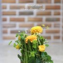 컨포지움 이미지