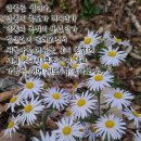 청송양지농원 | 23/11/08 입동/인생은 쉼이다.