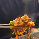 삼삼오주 이미지