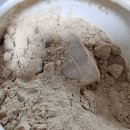 유기농라이프 | [어린이단백질 추천] 가든오브라이프 유기농 프로틴 초코맛 솔직후기 (어린이간식)