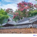문 - 달서구 달서대로95길 13 | 문