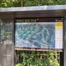 남현동-36 | 관악산 여름 산행 후기 I 초보자도 즐길 수 있는 코스