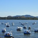 나눔공원 게이트볼장 이미지