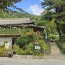 흙과 나무 이미지