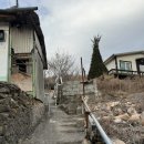 스테이 파랑 이미지