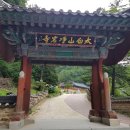 너정골 Daum카페